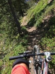 Single track di discesa, dove inizia il bosco