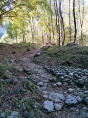 Tratto di discesa dopo il gias Fontana