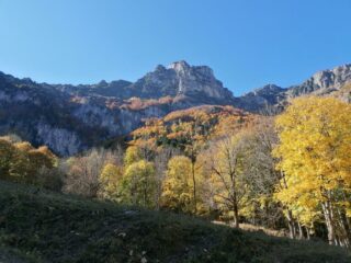 Colori autunnali nei boschi