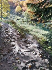 L'inizio del sentiero di discesa