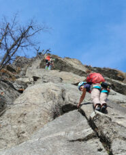 charset=InvalidCharsetId binary comment