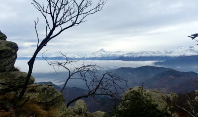 charset=InvalidCharsetId binary comment