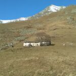 Alpe Cavannone con Bric Pistone e Verzel