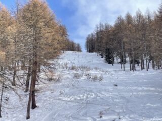 Il muretto spelacchiato della pista
