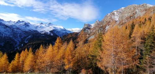 Colori autunnali