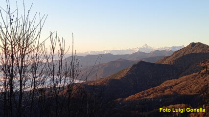 Il Viso