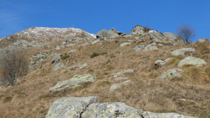 alpe Colmetto e vetta