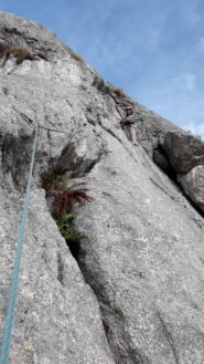 L4..sempre su placca..