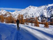 Radura nel bosco nella parte bassa
