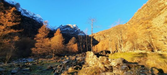 Primo sole a Forzo