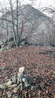 dal Gioran la cresta gia' traspare da tra gli alberi..