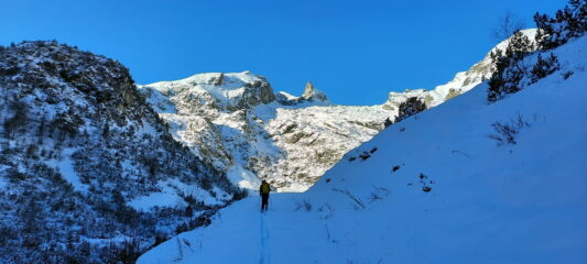cartolina da Limone