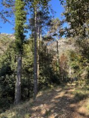 Deviazione sulla sx per scendere alla forra 