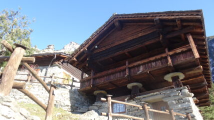 lo splendido rascard di Reille