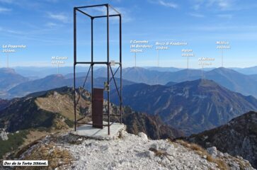  Gabbiotto di ferro di vetta.