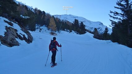 Si sale le piste con il M.Vallecetta ancora ben in alto.