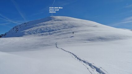 Neve super top.
