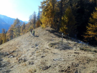 il fantomatico col Verdet