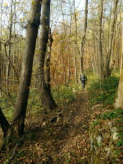 verso Mostiola