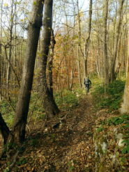 verso Mostiola