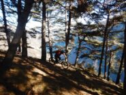 Sul bellissimo sentiero delle ginestre