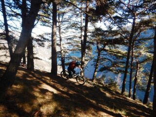 Sul bellissimo sentiero delle ginestre