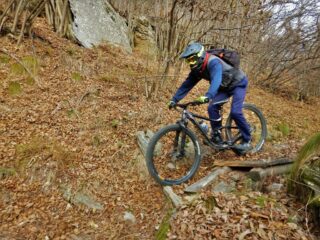 Nel tratto in alto