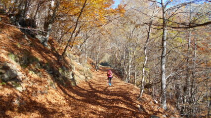 La stradina verso il Colletto
