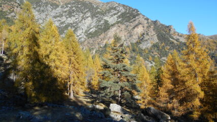 i colori dell'autunno