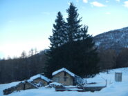 Bergeria Facciaccia