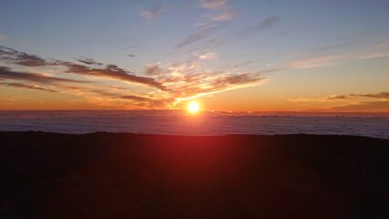 Ecco il sole, dolce tepore.