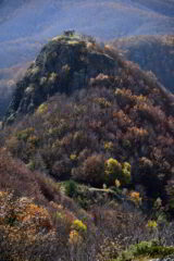 M.Gifarco dalla Rocca Bruna