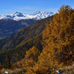 Veduta verso il Fallere e il M.Bianco dalla Q.2250