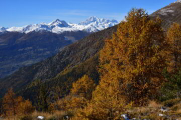 Veduta verso il Fallere e il M.Bianco dalla Q.2250