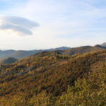 vista da M. Giovetto