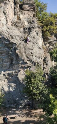 Settore centrale. Genius