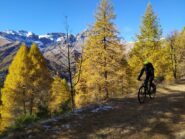 Nel tratto di discesa dal colle di S. Michele