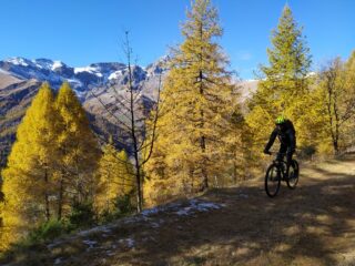 Nel tratto di discesa dal colle di S. Michele