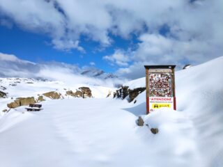 Sul colle, sullo sfondo il Taou Blanc