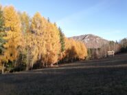 Bei colori con vista sulla cima