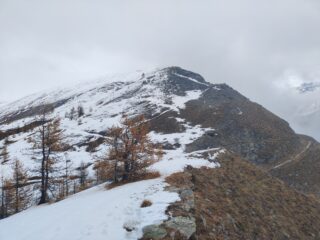 La cima vista dall'antecima.