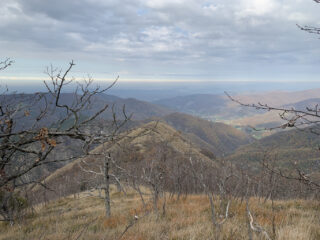 La Costa Castiglione come appare scendendo dal Bric Castiglione