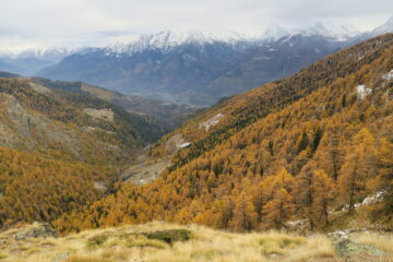 in basso nel vallone la strada poderale che mi riporterà a Fonteil