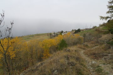 il sentiero che taglia l'ultimo tornante della poderale appena sopra Fonteil