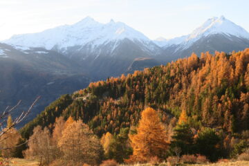 vista verso la Grivola salendo sopra Verrogne