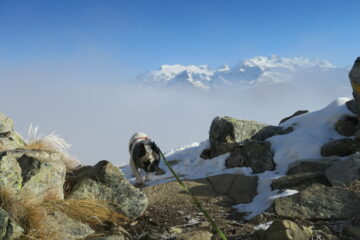 vista verso il Monte Rosa 