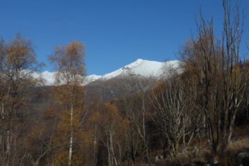 Vaccarezza e Angiolino