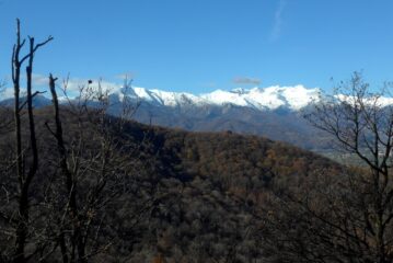 La vista si apre