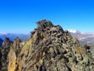 In cima