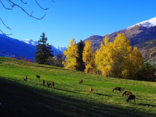 Poco sotto Champ Leval Dessous, credo.